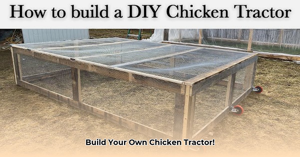 joel-salatin-chicken-tractor